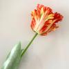 Ramo Simulado de Alta Calidad con Tulipán Hidratante 3D Pegado Color Degradado Flor Falsa Decoración Interior Arreglo Floral Venta al por Mayor