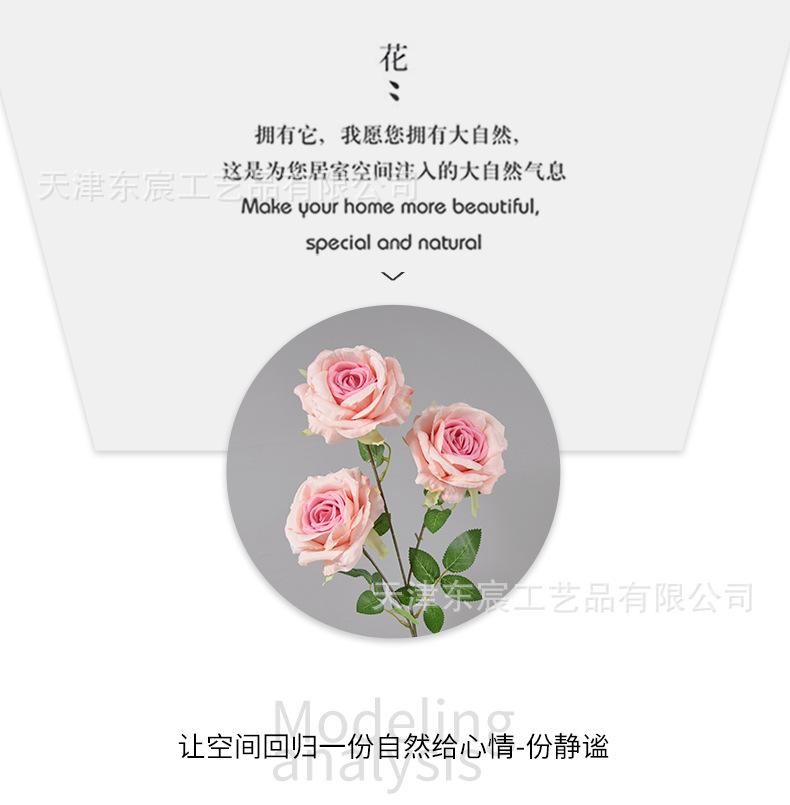 详情_06.png