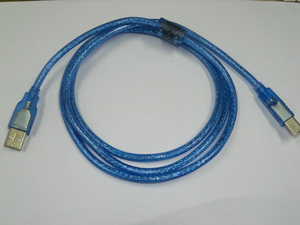 DSCI0342