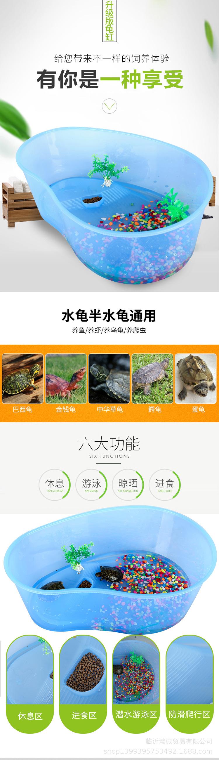 芒果_01.jpg