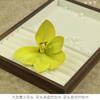 Flores de Phalaenopsis Grandes de Goma Blanda 3D Simuladas Cabeza de Orquídea Tailandesa Tocado Étnico con Flores Flor de Sombrero Decorativa DIY Flores