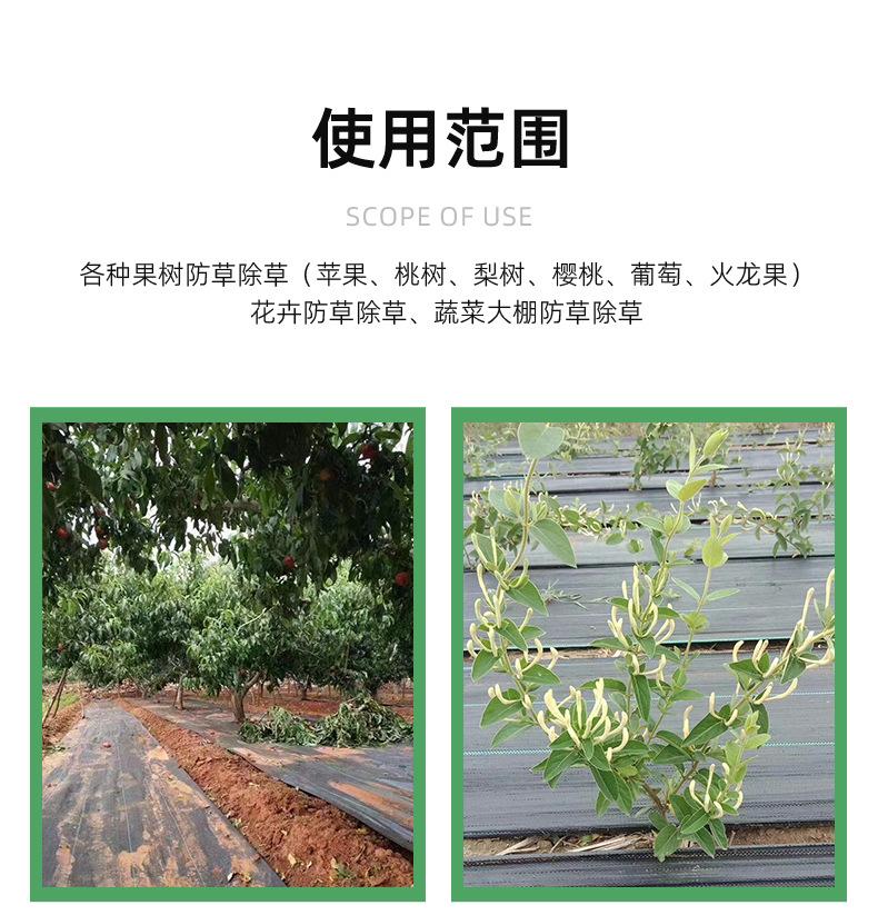 详情页-临沭华际塑编有限公司-2_14.jpg