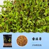 Acuario Semillas de Plantas Acuáticas Plantas Acuáticas Purificación Activa del Agua Decoración de Acuario Purificación Calidad del Agua Paquete de Semillas de Plantas Acuáticas