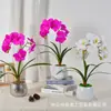 Película de Textura Impresa en 3D Simulación Flor Phalaenopsis Planta en Maceta Lujo Ligero Decoración de Sala de Estar de Casa de Gama Alta Adorno de Flor Artificial