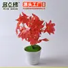 Planta Artificial Planta Verde Flor em Vaso Sulco Caixa de Flores Folhas Falsas Decorativas 5 Galhos Folha de Bordo Vermelha Suporte Pequeno Parede de Plantas Flores Artificiais