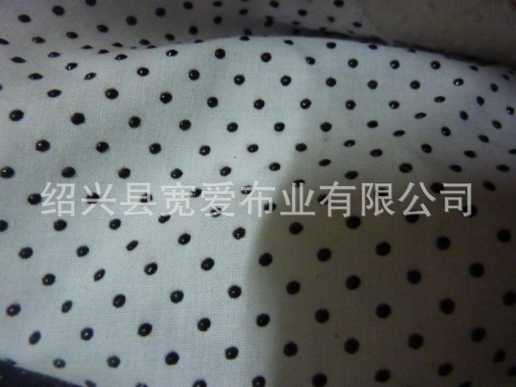 P1100141