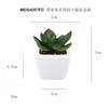 Em estoque Simulação Fruto de Papoula Carnudo Planta em Vaso Decorações de Mesa Pequenos Presentes Mini Planta Verde Bonsai TEMU Planta de Simulação