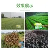 Jinhe película plástica líquida estufa película plástica película agrícola líquida isolamento térmico biodegradável filme de água fornecimento direto da fábrica