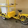 Triciclo Solar de Helados de 108L Impulsado por Humanos Puede Vender Frutas, Jugos, Helados y Paletas; Carrito de Venta Comercial