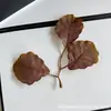 Folhas Simuladas com Cores Ricas, Novas Folhas de Bordo para Fotografia, Adereços de Decoração para Casamentos ao Ar Livre, Artesanato Atacado de Folhas Artificiais