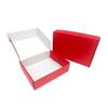 Caja para Avión Personalizada Colorida Doble Cara Tres Capas Extra Dura E-Commerce Logística Caja de Embalaje Lista para Usar Cartón Corrugado Caja para Avión