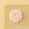 Nuevos accesorios de resina de camelia materiales para manualidades: charms para zapatos, imanes para refrigerador, decoraciones para tablero de coche, accesorios para el cabello, pinzas para el cabello