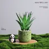 Árbol del Dinero Planta en Maceta Decoración Creativa de Planta para Escritorio Flor y Planta Verde para Oficina Adorno Hiedra Coco Rico Verde Bonsái Pequeño