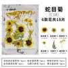 Flores secas y especímenes de plantas de flores marco de fotos repujado a mano marcapáginas lámpara de escritorio pegamento nail art suministro transfronterizo venta al por mayor 18 piezas