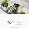 Pá pequena para plantas em vasos, jardinagem de flores, afofamento do solo, pá de flor, conjunto de ferramentas de jardinagem e plantio de suculentas, conjunto de três peças para uso doméstico