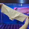 004 Yimanwenshi Calzoncillos Sexy de Baja Cintura con Bolsillo Curvo en U para Hombre de Moda de Seda Helada Cobertura Media de Glúteos Estrechos de Secado Rápido