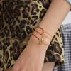 Pulseira Vermelha de Corda com Strass Branco Europeu e Americano Silenciosa Luxo Acessível Aço Inoxidável de Alta Qualidade Joia de Mão Joia Transfronteiriça Design de Nicho