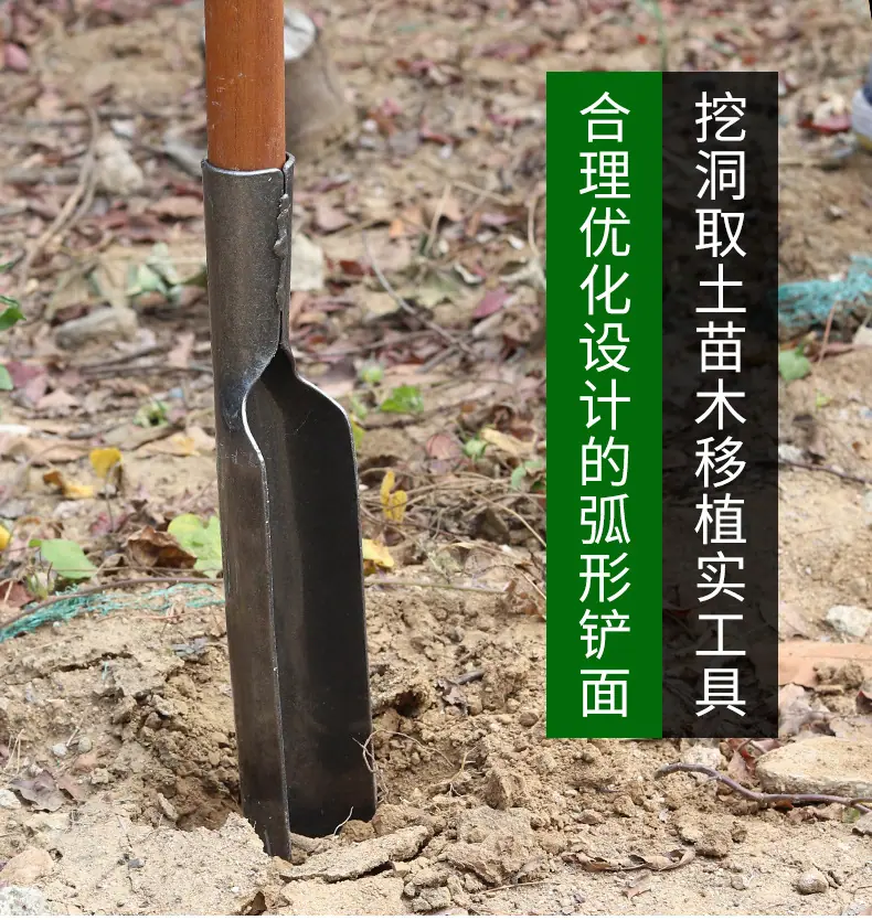 详情_02.jpg