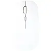Ratón Bluetooth de Negocios de Fábrica Ultra Delgado Conveniente Clic Silencioso Computadora Tableta Tipo Neutro Puerto de Carga Tipo-C