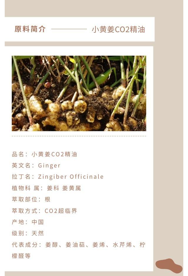 小黄姜精油.jpg