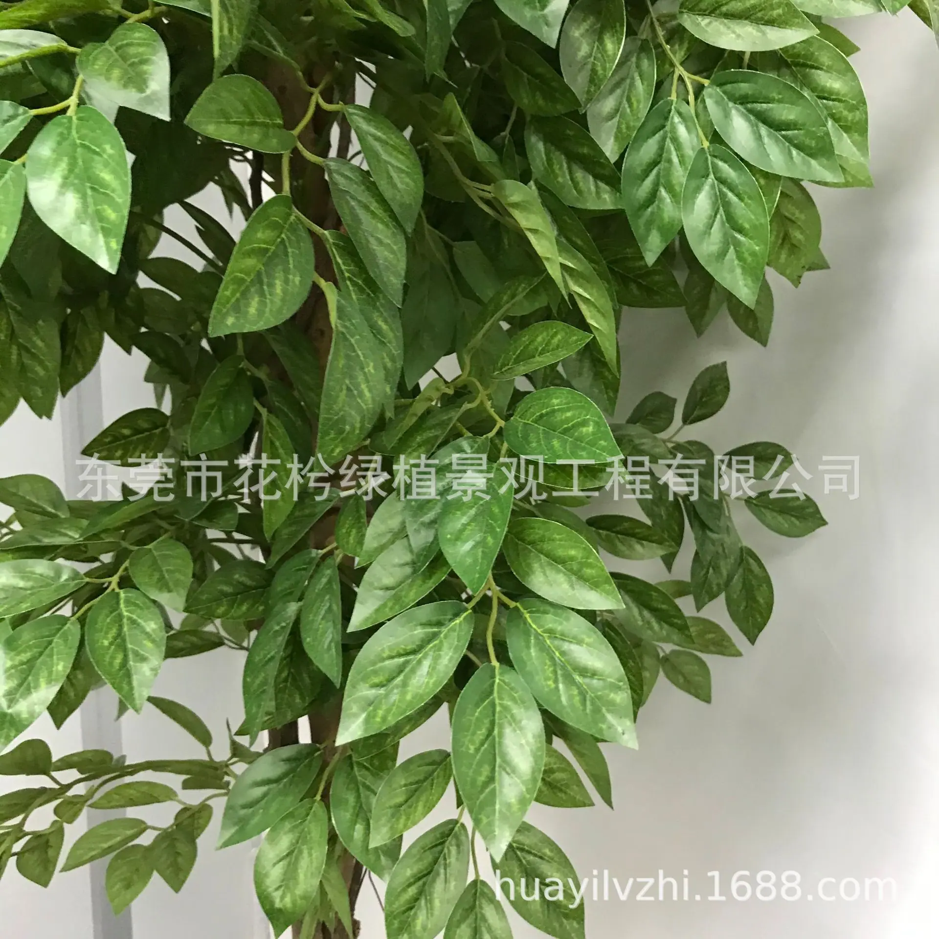 微信图片_2021052809445312