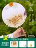 Festival de Mediados de Otoño Flor Eterna Flor Seca Abanico Hecho a Mano Paquete de Materiales DIY Estilo Antiguo Abanico Vacío Fabricación de Abanicos Regalo