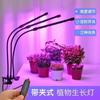 Lámpara LED para crecimiento de plantas con clip transfronterizo de Amazon, luz USB con atenuación temporizada, espectro completo de crecimiento.