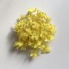 Hortensia Flor Seca Flor Eterna Material Flor Rosa Regalo de Navidad Ramo Hecho a Mano Hortensia de Madera 20g En Caja