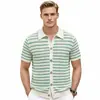 Suéter de Punto Hueco a Rayas Estilo Retro para Hombre con Cuello Camisero, Cárdigan Polo Casual de Manga Corta, Ropa para Hombre de Comercio Exterior Sj0208