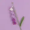 Producto Terminado de Lirio del Valle Tejido a Crochet Hecho a Mano Lana Ramo Eterno Flor Artificial Degradada Tejido Creativo Flor de Lirio del Valle de Cuatro Hojas Linda Regalo