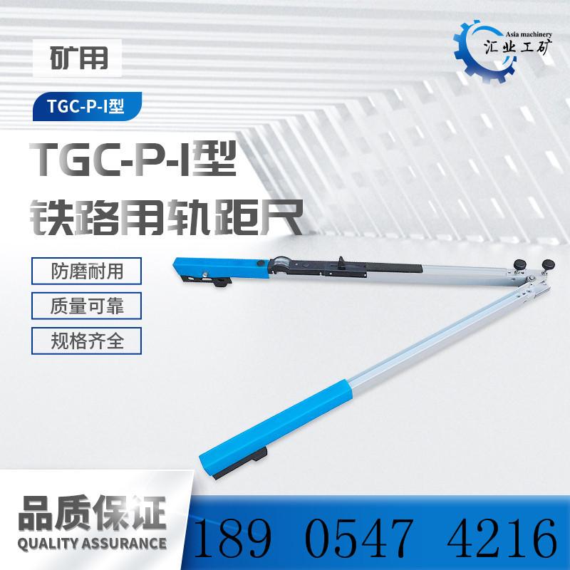 TGC-P-I普通轨距尺-