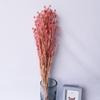 Flor Eterna do Fruto em Forma de Coração, Flores de Cardo Pequenas Secas, Flores Preservadas, Materiais de Flores Naturais Reais, Arranjos Florais, Flores de Grama, Buquês para Casamentos