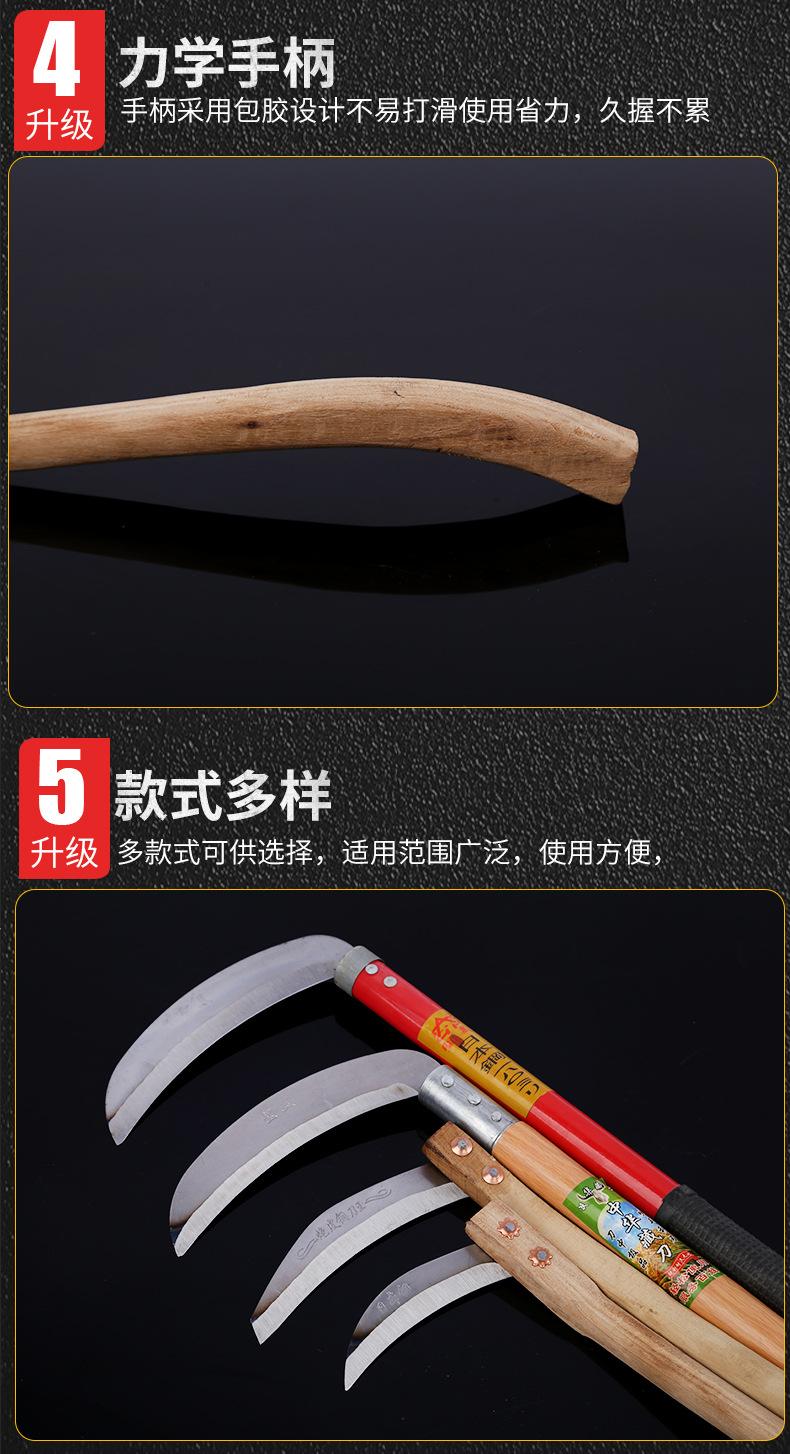 详情_14