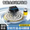 Incubadora Pequeña de Platillo Volador Recién Actualizada, Incubadora Pequeña para Uso Doméstico para Pollos, Patos y Gansos, con Control Preciso de Temperatura y Operación Totalmente Automática
