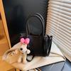 Bolso Mini de Diseño Nicho para Mujer 2025 Nuevo Verano Bolso Cruzado Popular de Este Año Bolso Balde de Mano