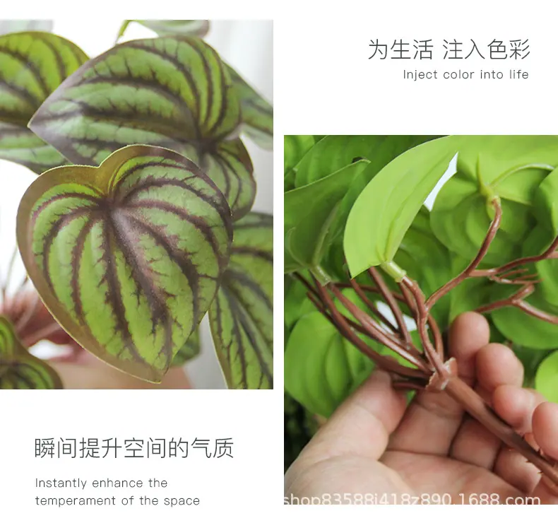 垂吊造景叶子_16.jpg