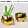 Maceta nórdica creativa de cerámica dorada para flores, decoración del hogar, maceta Morandi de orquídeas carnosas verdes, contenedor para plantar plantas en maceta