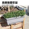 Suministro Directo de Fábrica Lavabo de Verduras Grande Resina Balcón Hogar Plantación Rectangular Lavabo Hollon Lavabo de Verduras Venta al por Mayor