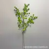 Plantas Verdes, Hierba de Espárrago, Pino Dorado de Mil Capas, Hojas Verdes para Decoración de Techo, Flores Artificiales al por Mayor, Enredaderas de Plantas Verdes Artificiales