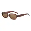 Gafas de Sol de Moda Cuadradas de Marco Pequeño Cx2213 Tendencia Transfronteriza para Fotografía Callejera Gafas de Sol de Acetato de Gama Alta