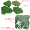 Piedra Musgosa de Simulación Pared de Plantas Verdes Musgo Bonsái Bonsái Micro Paisaje Adorno Decoración DIY Decoración de Piedra de Pelo Falso