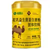 Pó Proteico Probiótico de Leite de Camelo Coral de Grama Bebida Sólida Multivitamínico Rico em Cálcio Pó Nutricional Embalagem de Balde 1kg