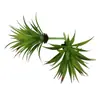 Mini Planta Suculenta Artificial Única Suculenta Falsa Flor Artificial Adorno de Micro Paisaje Oficina Planta Verde Real Artificial Alto