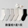 Colección de otoño e invierno: Calcetines de algodón puro estilo Miu, calcetines blancos tobilleros, calcetines de media pantorrilla para mujer, calcetines coreanos de encaje y lunares, perfectos con sandalias Birkenstock