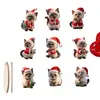 Conjunto Plano 2D de 9 Peças de Gatos Fofos em Forma de Estrela Decorações de Árvore de Natal de Madeira para Portas de Casa, Janelas e Lareira