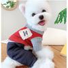 Ropa de invierno para perros de peluche, Beaumi Bear, ropa para perros pequeños de cuatro patas, ropa informal gruesa y cálida para cachorros.