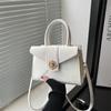 Elegante bolso de invierno 2024 con diseño de nicho, bonito bolso de mano cuadrado pequeño para mujer, bolso cruzado de moda para mujer.