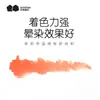 Set de Pinturas para Pintura China Wencui 12 Colores Set para Principiantes para Crear Pinturas de Paisajes y Pinturas a Tinta