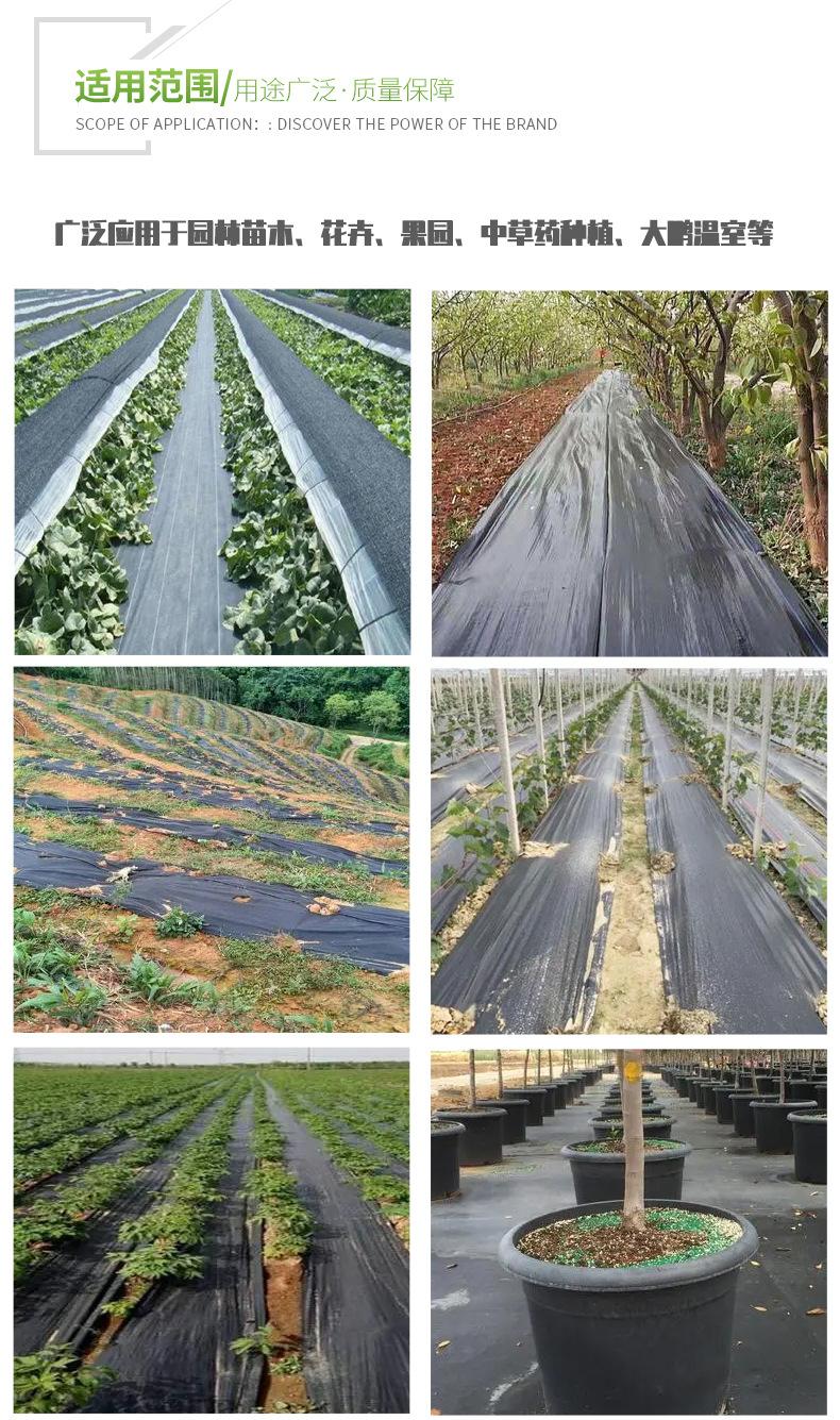 聊城绿色--(11)_07