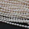 Perlas de agua dulce naturales 7-8 mm cuentas en forma de arroz perlas de agua dulce naturales collar DIY cuentas sueltas semiacabadas cuentas moradas en forma de arroz